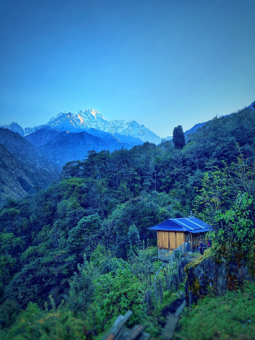 Morning views from our lodge in Surmuche